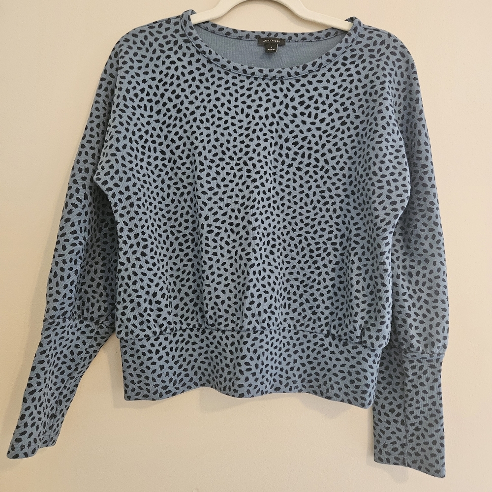 Ann Taylor Women's Small Blue and Black Crop Top Dolman Sleeve